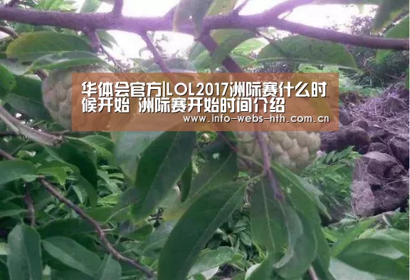 华体会官方|LOL2017洲际赛什么时候开始 洲际赛开始时间介绍(图1) 华体会体育