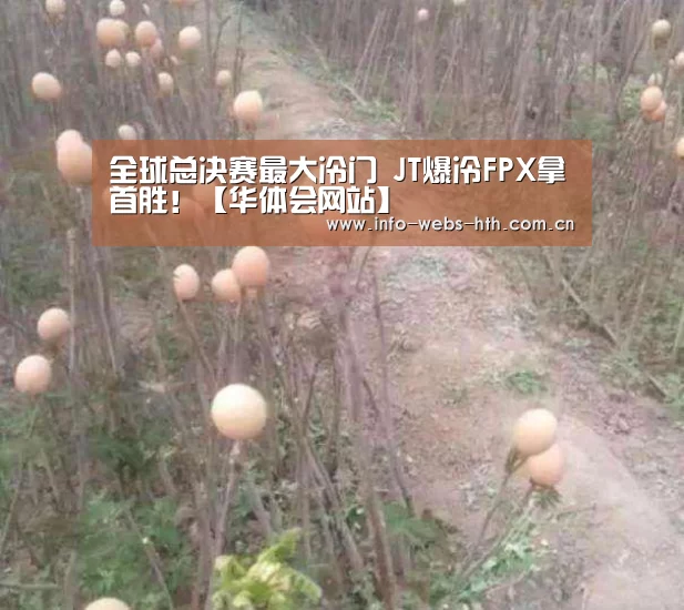 全球总决赛最大冷门 JT爆冷FPX拿首胜!【华体会网站】(图4) 华体会官网