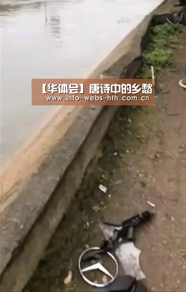 【华体会】唐诗中的乡愁(图2) 华体会网站