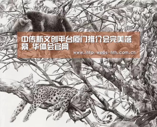 中传新文创平台厦门推介会完美落幕_华体会官网(图3) 华体会体育