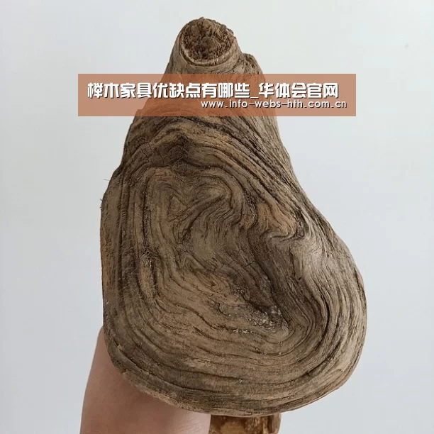 华体会网站